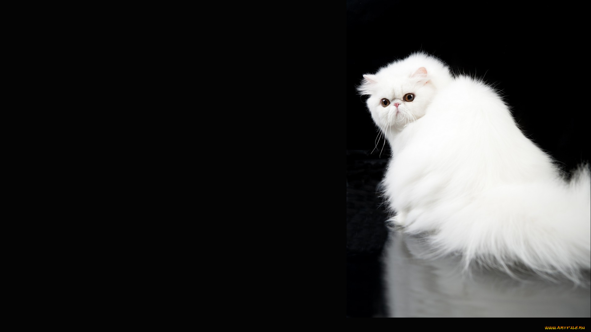 , , , 